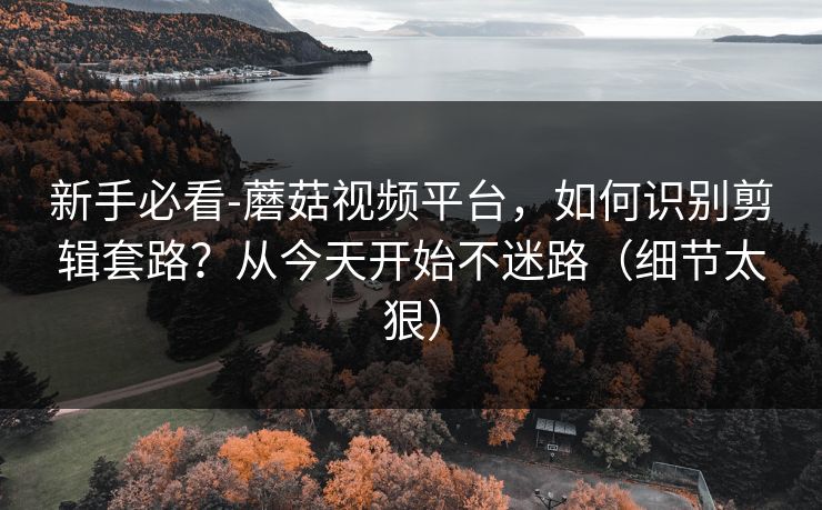 新手必看-蘑菇视频平台，如何识别剪辑套路？从今天开始不迷路（细节太狠）