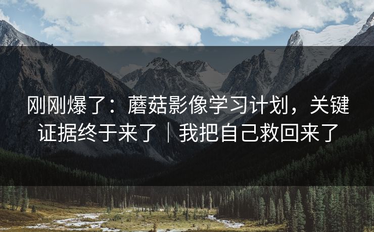 刚刚爆了：蘑菇影像学习计划，关键证据终于来了｜我把自己救回来了