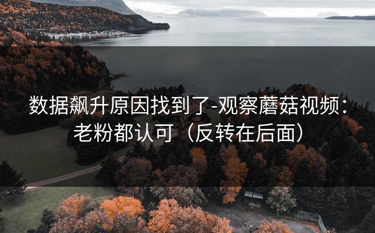 数据飙升原因找到了-观察蘑菇视频：老粉都认可（反转在后面）