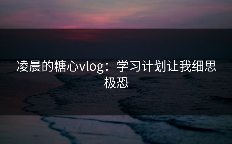 凌晨的糖心vlog：学习计划让我细思极恐